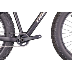 26er Carbon Hardtail Fat Bike SN02